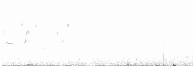 Pipit antarctique - ML512865261