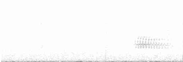 Turuncu Ardıç - ML512879051