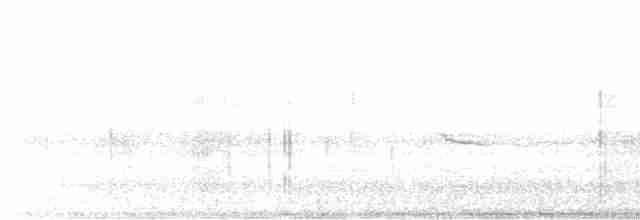Дрізд-короткодзьоб плямистоволий - ML512938341