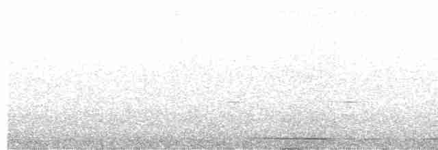 Желтоногий скрытохвост - ML512976861