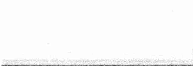 káně rudochvostá (ssp. harlani) - ML513006511
