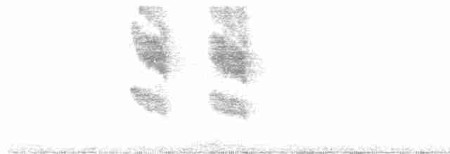 Perlenkehl-Ameisenschlüpfer - ML513035431