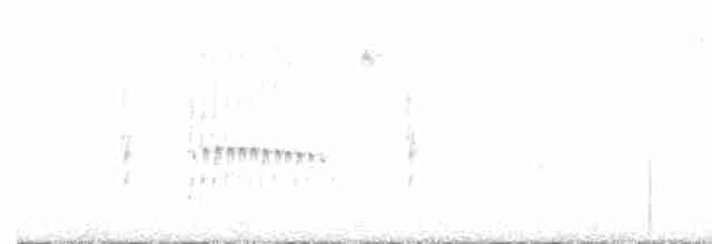Тиранчик-тонкодзьоб південний - ML513038611