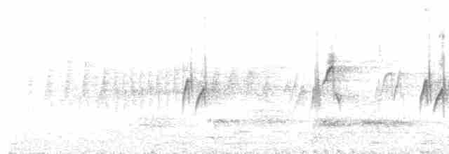 Gray-hooded Sierra Finch (minor) - ML513039731