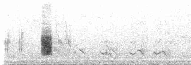 Woodchat Shrike - ML513099441