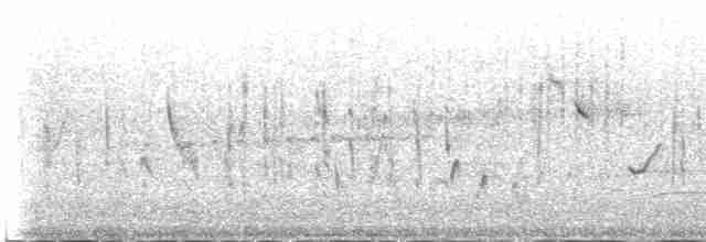 Woodchat Shrike - ML513099451