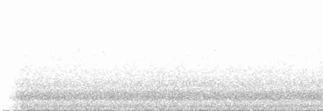 Western Black-eared Wheatear - ML513099761