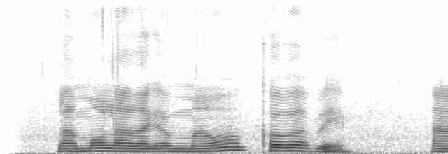 Балеарский буревестник - ML513102181