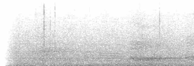 Балеарский буревестник - ML513102201