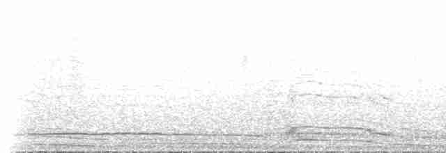 Балеарский буревестник - ML513102231