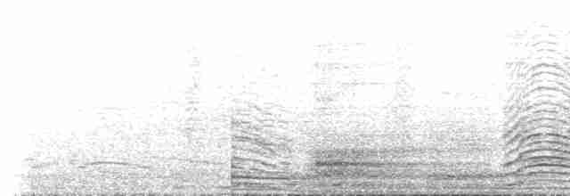Балеарский буревестник - ML513102241