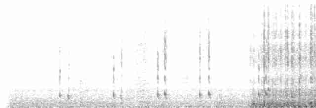 Голуб парагвайський (підвид albipennis) - ML513148811