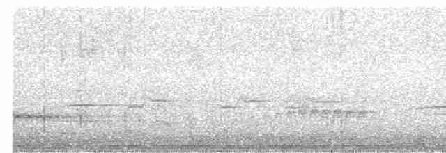 Fan-tailed Cuckoo - ML513228651