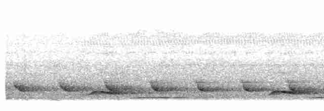 Малайская лесная куропатка - ML513261921