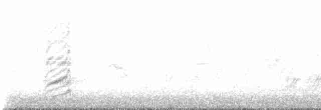 Kara Gagalı Saksağan - ML513307401