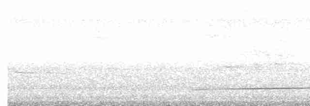 Лінивка-смугохвіст панамська - ML513328361