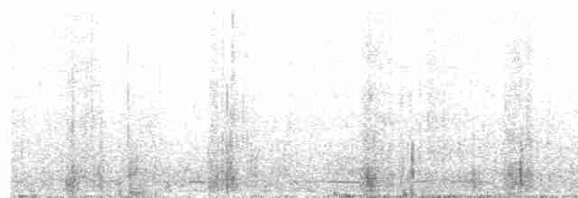 Серогрудый зобатый бегунок - ML513343521