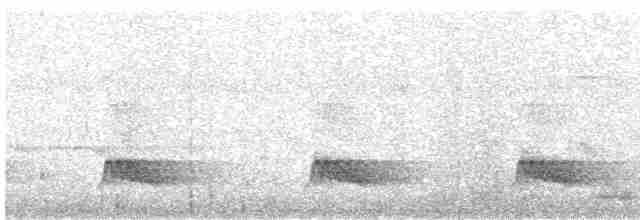 Tinamou à tête rousse - ML513408461
