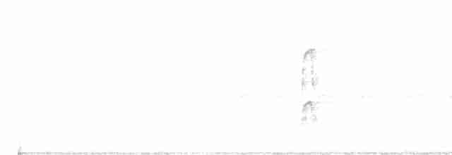 strakapoud hnědokřídlý - ML513419381
