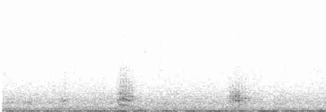 Малая морская чернеть - ML513457781