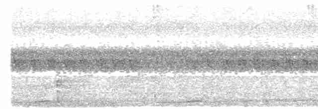 Сова-голконіг далекосхідна - ML513501401