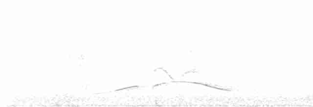 Red-tailed Laughingthrush - ML513518011