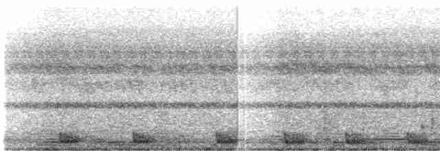 Langschwanz-Nachtschwalbe - ML513528471