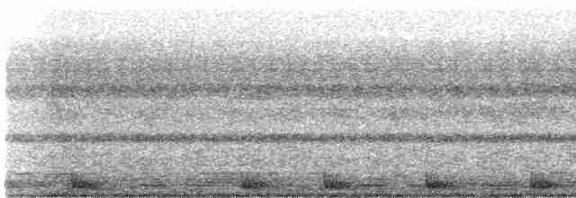 Large-tailed Nightjar - ML513528481