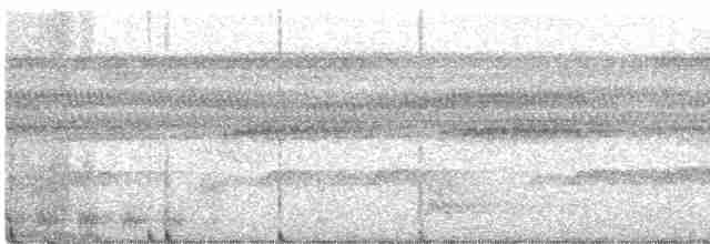 Black-tailed Trogon - ML513598431