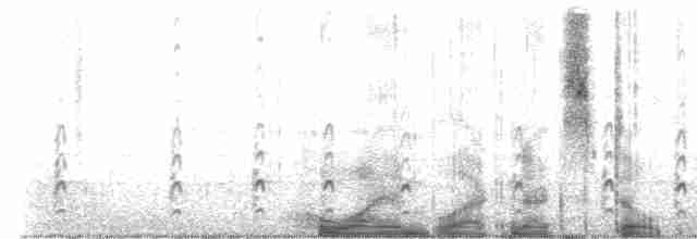 Кулик-довгоніг американський (підвид knudseni) - ML513612011