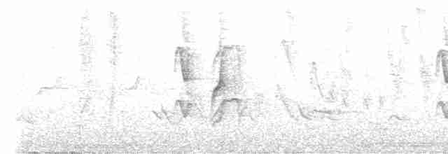 Graustirn-Dickichtschlüpfer - ML513625071