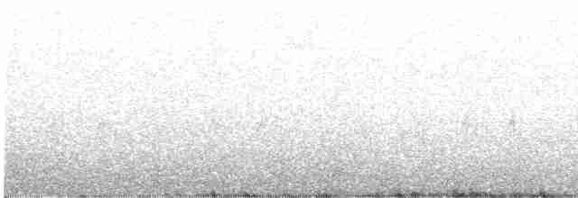 Шишкар ялиновий - ML513641521