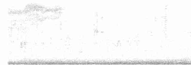 Rubinfleck-Waldsänger - ML513671061