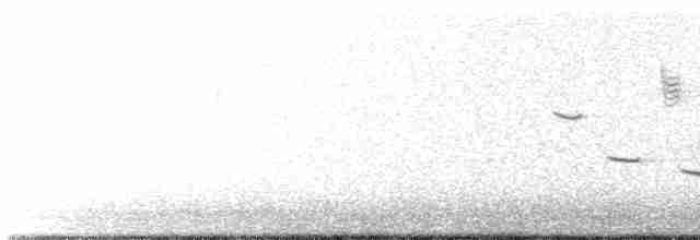 Weißschenkelstärling - ML513739291