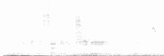 Атакамская трясохвостка - ML513856031