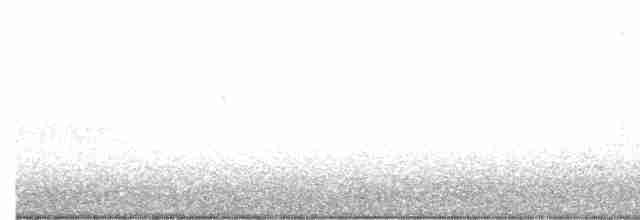 Troglodyte des marais - ML513894581