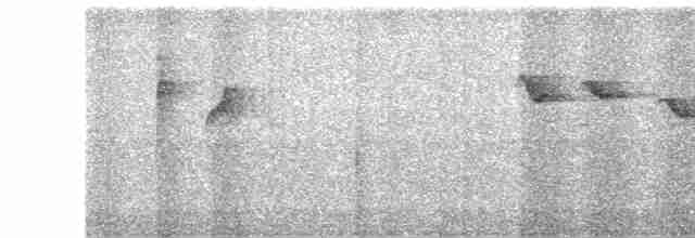Белокрылая пиранга - ML513938321
