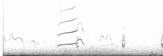 potápka stříbřitá (ssp. juninensis) - ML513976181