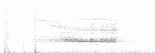 sotslørugle (tenebricosa/arfaki) - ML513998301