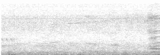 Dumanlı Kurravong (halmaturina) - ML514076001