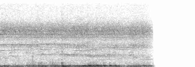 Barbican de Levaillant (macclounii) - ML51432