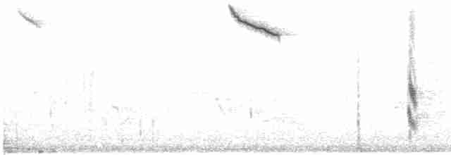 Russet Nightingale-Thrush - ML514382191