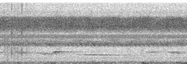 Barbican de Levaillant (macclounii) - ML51444