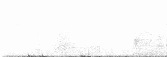 Great Egret (American) - ML514548001