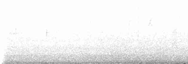 Каролинский крапивник - ML514617721