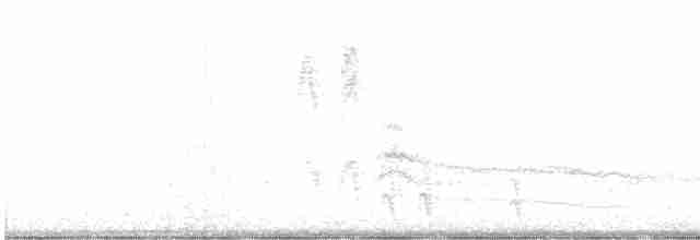 Краснохвостый канюк (harlani) - ML514776881