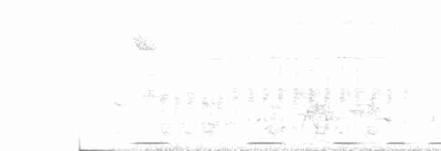 Kır Başlı Yedikardeş - ML514816401