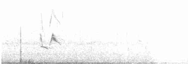 Тиранчик-короткодзьоб південний - ML514824701