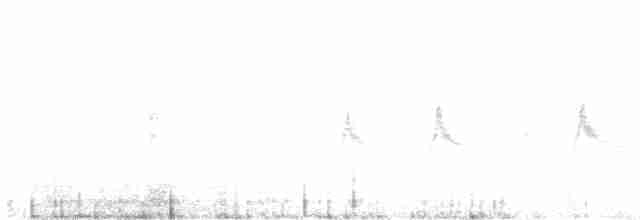 Тиранчик-короткодзьоб південний - ML514824711