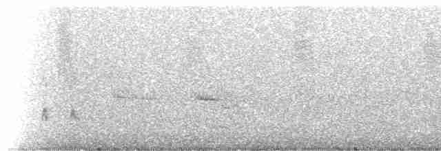 Élénie obscure - ML514849